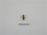 藏品(黃達頂苔蛾)的圖片